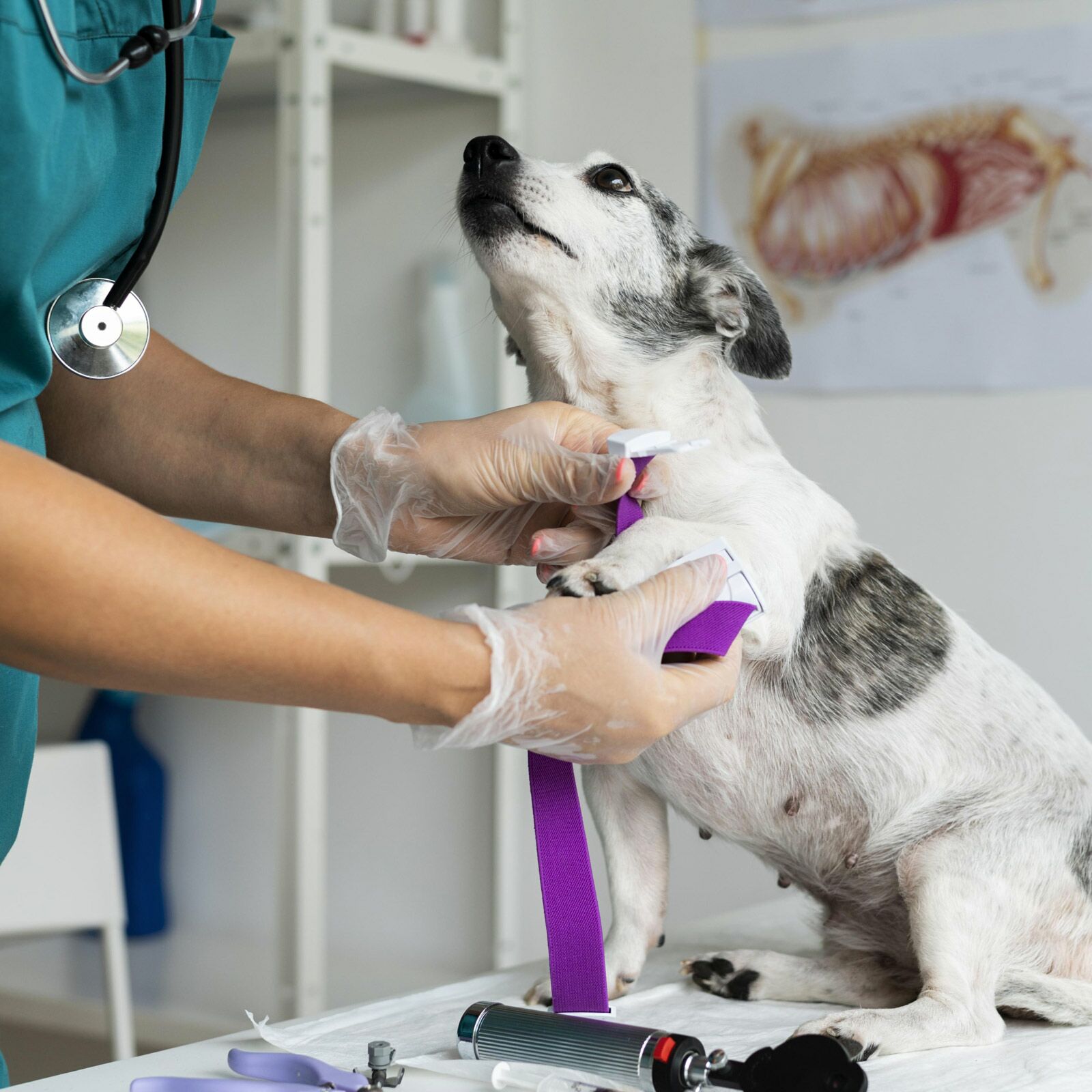 Médecine préventive